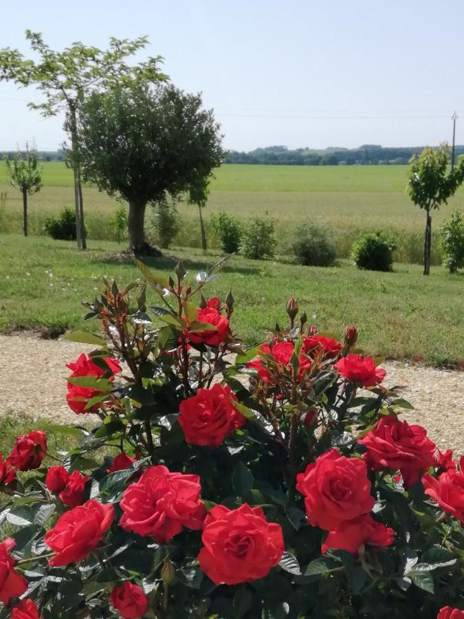 Les Cypres De Crose I Villa Badefols-sur-Dordogne Ngoại thất bức ảnh